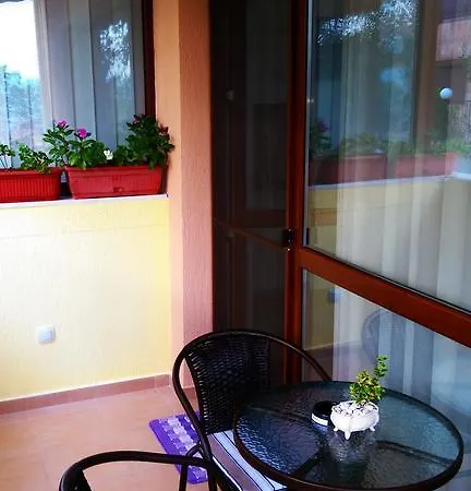 United Appartement *